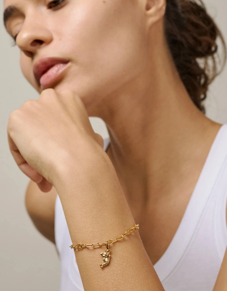 Joyful Dolphin Charm Gold Plated