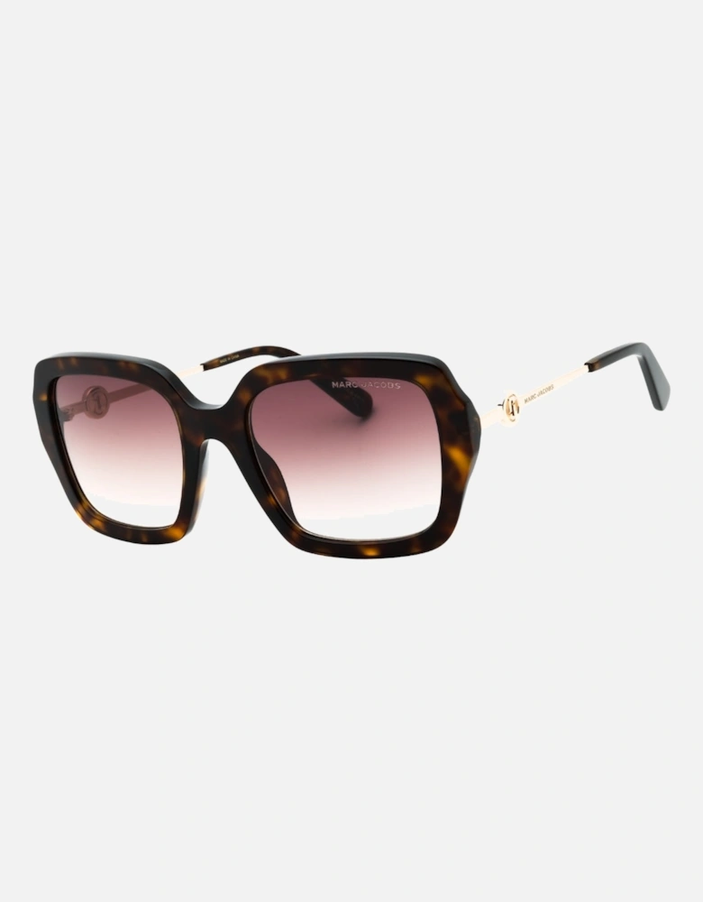 Brown SF Lens Havana Brown Sunglasses