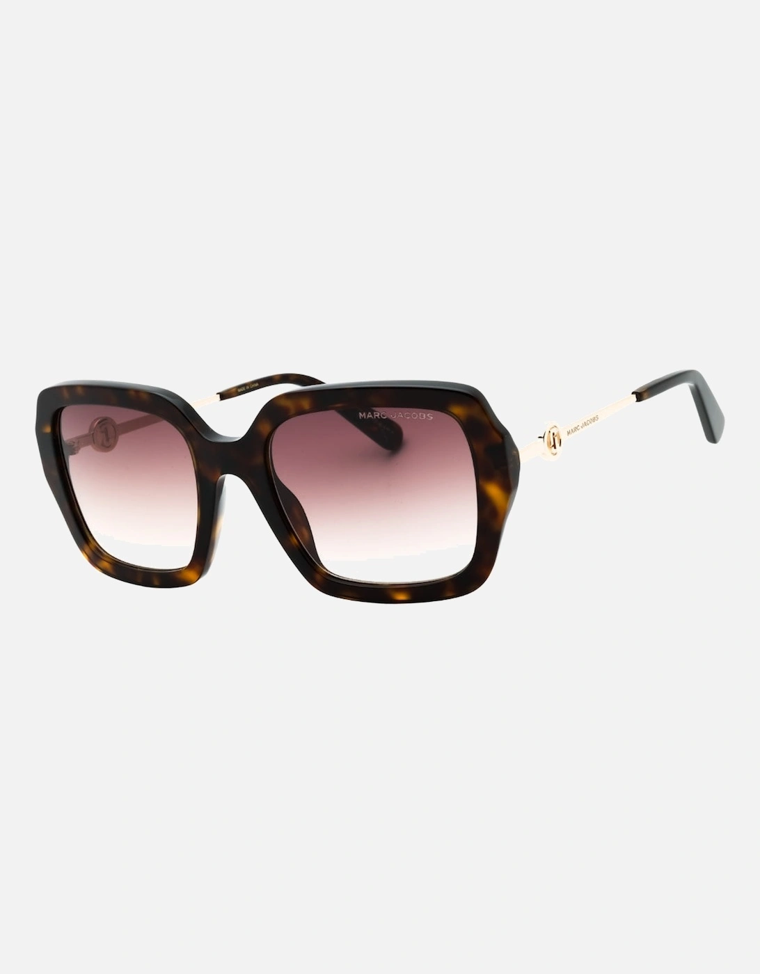 Brown SF Lens Havana Brown Sunglasses