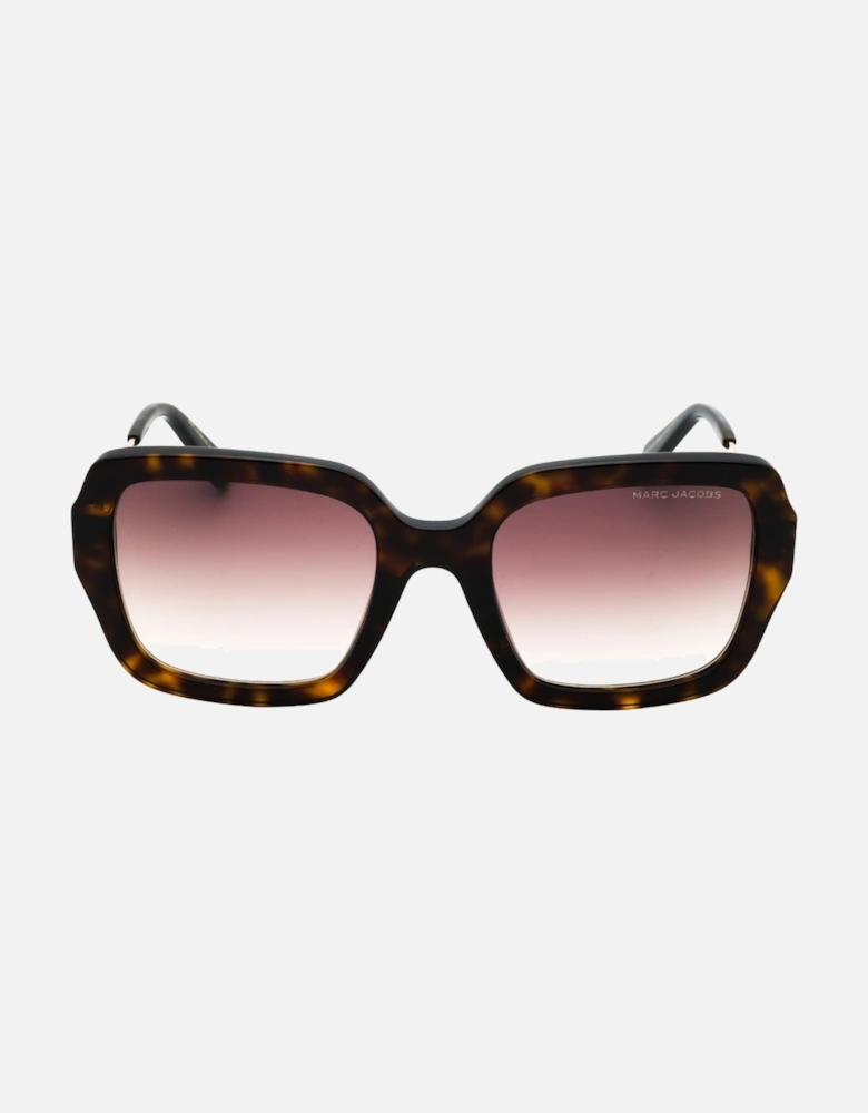 Brown SF Lens Havana Brown Sunglasses