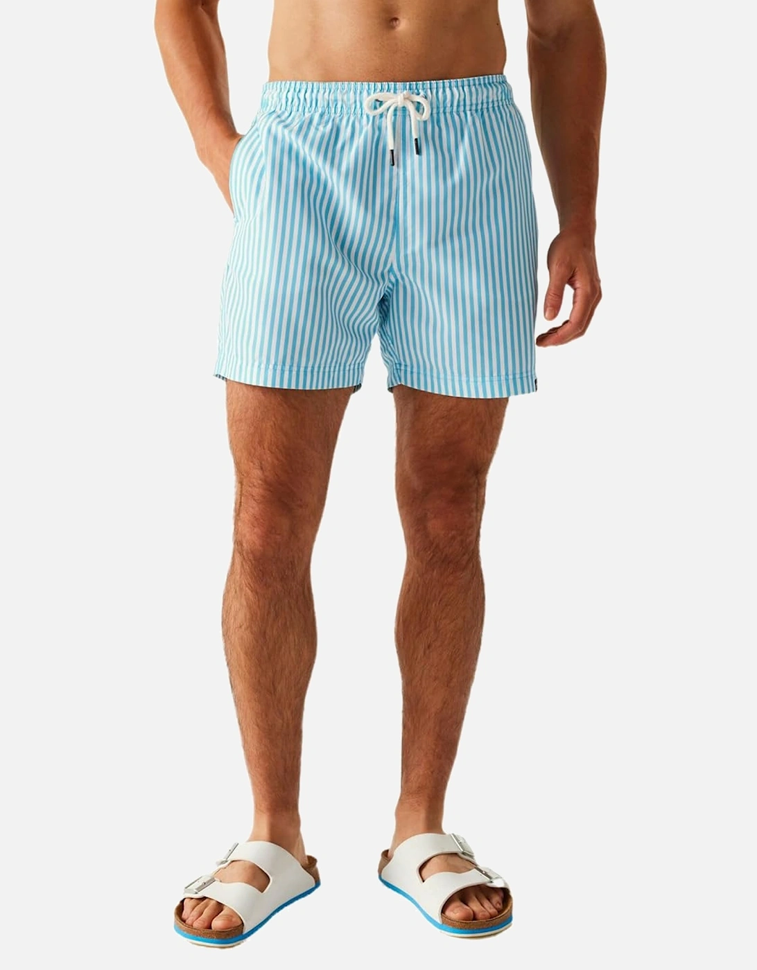 Mens Loras Striped Swim Shorts