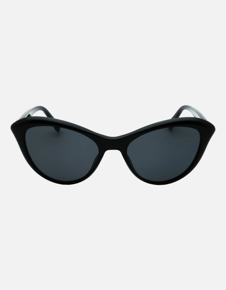 Black Sunglasses