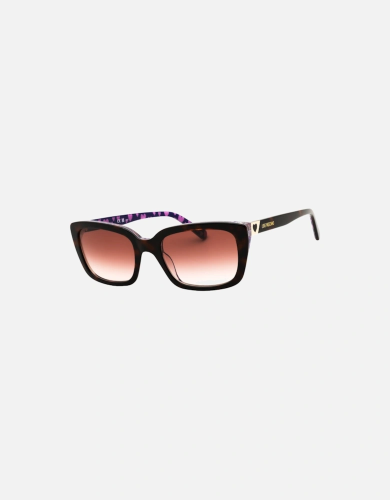 Havana Brown SF Sunglasses