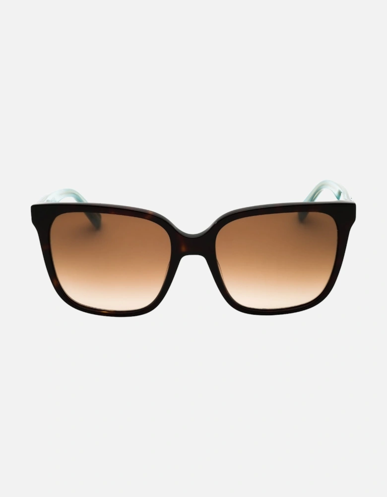 Havana Brown SF Sunglasses