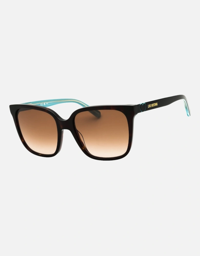 Havana Brown SF Sunglasses