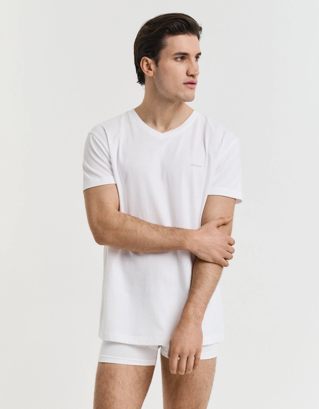 Mens V-Neck T-Shirt 2-Pack - 110 White, 2 of 1