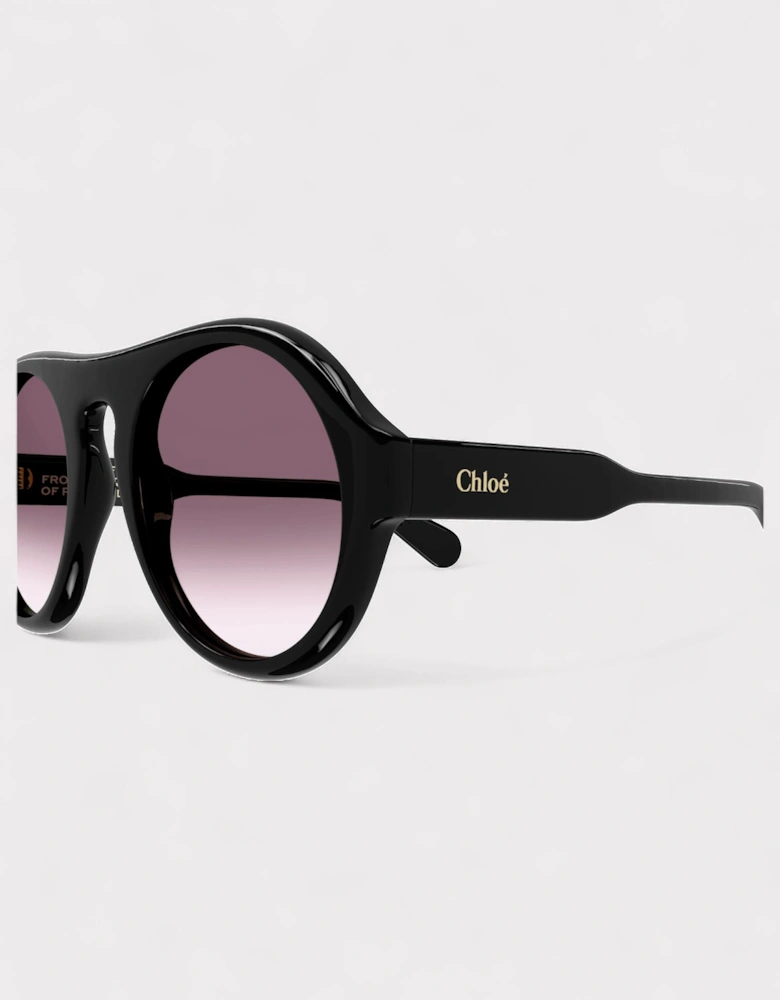 Pilot Frame Gradient Lens Sunglasses