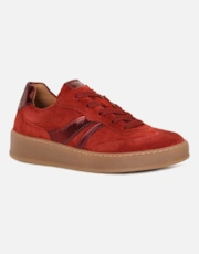 48 Damasco Sde/Bordo
