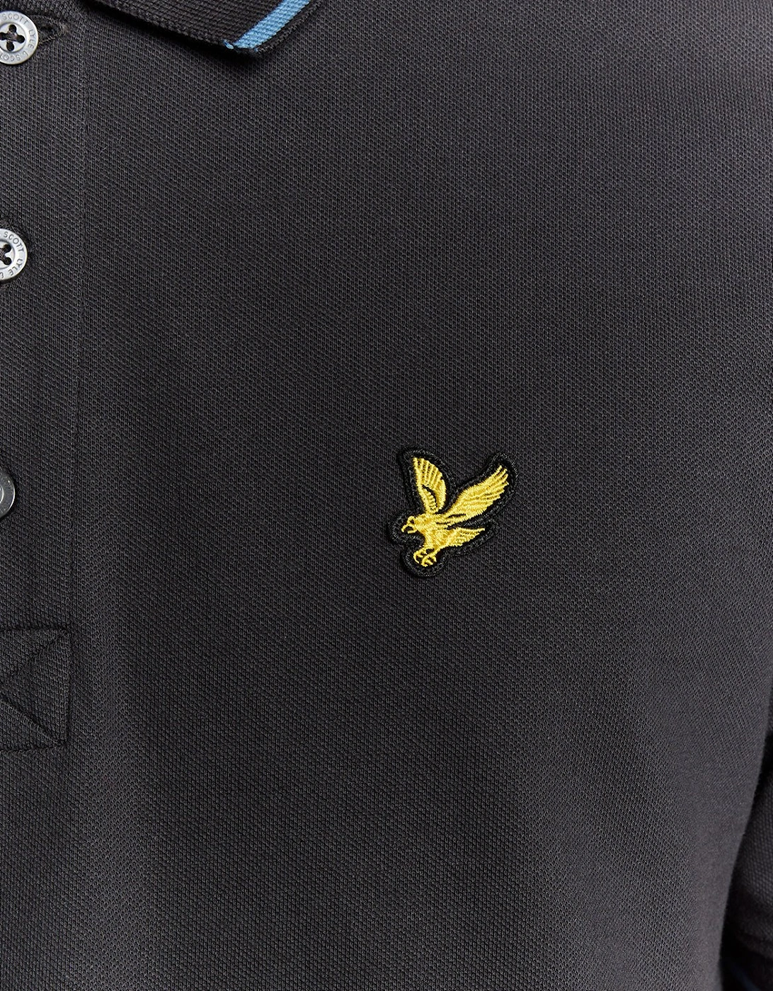 Tipped Polo Shirt