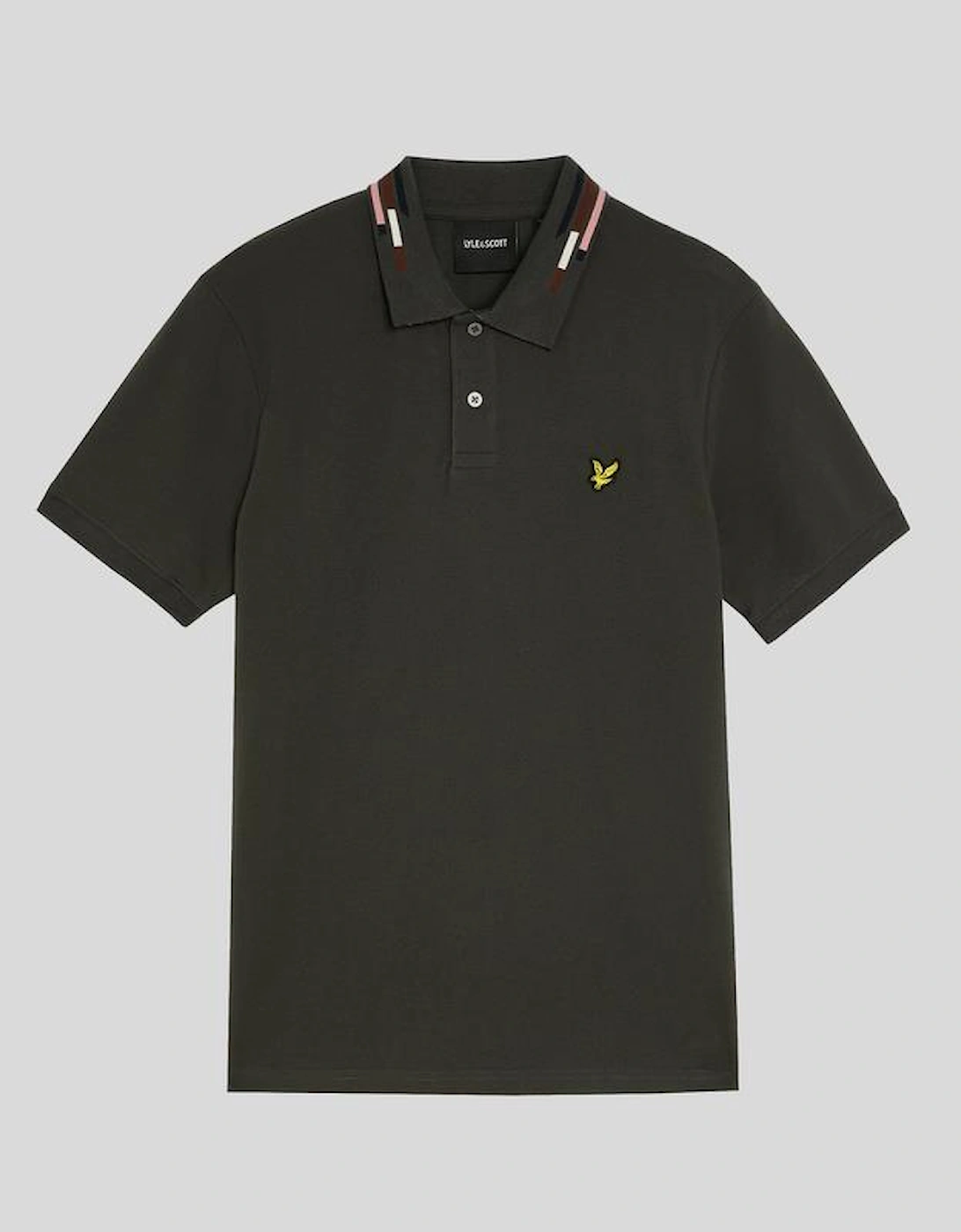 Striped Tipped Polo Shirt