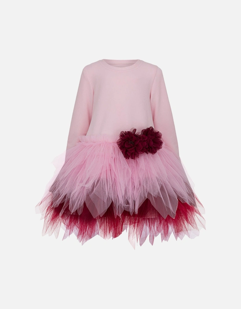 Girls Pink and Burgundy Tulle Dress