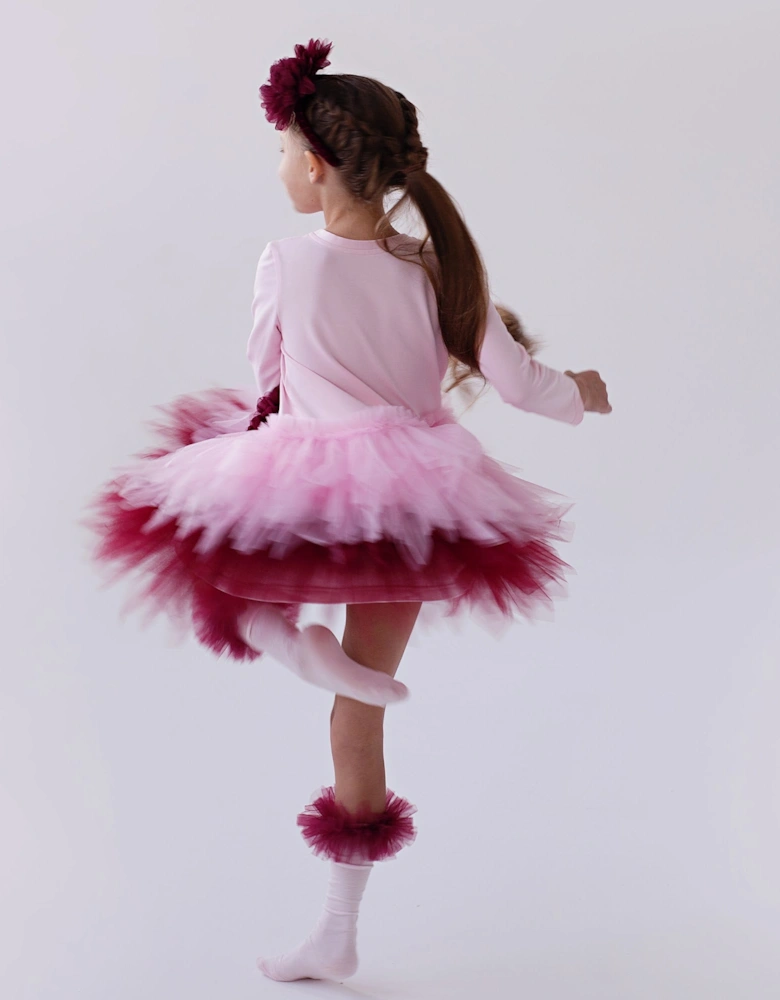 Girls Pink and Burgundy Tulle Dress