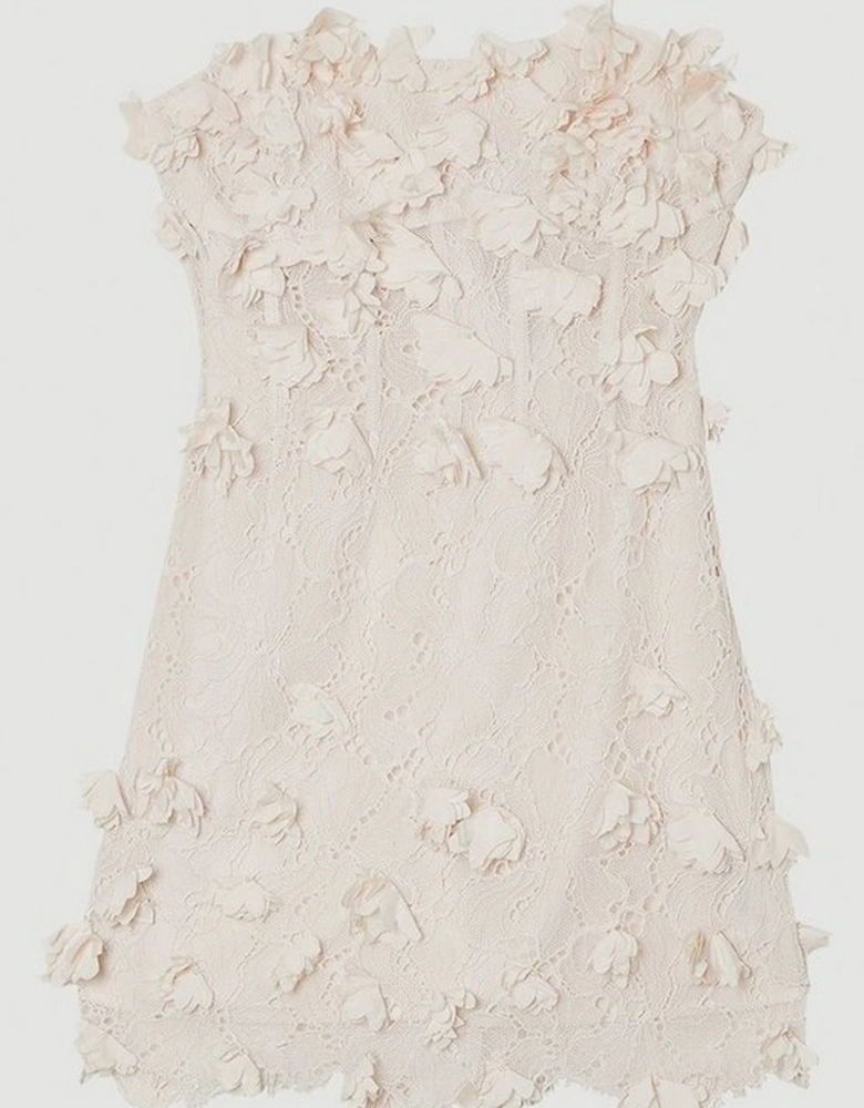 Applique Lace Corset Woven Mini Dress