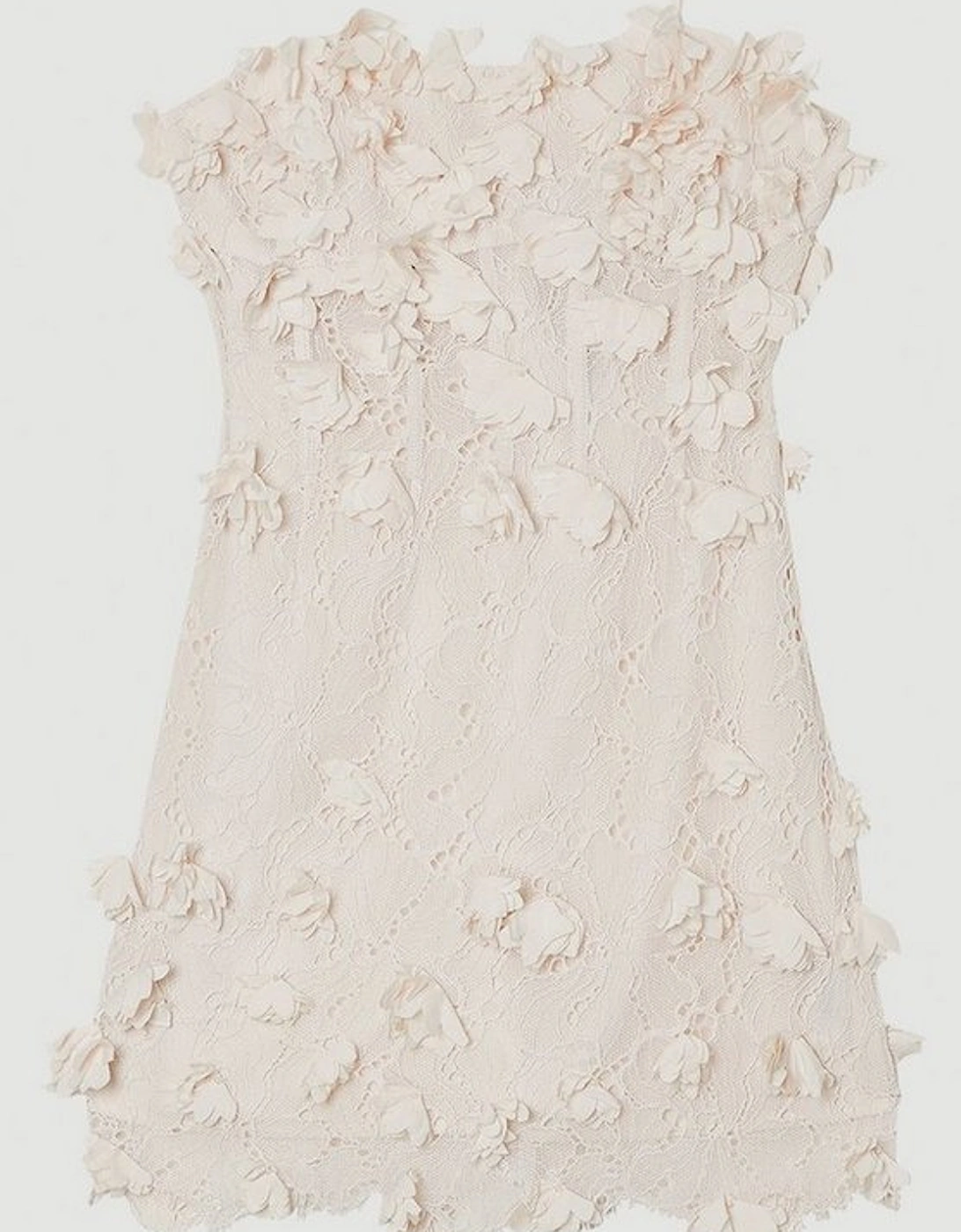 Applique Lace Corset Woven Mini Dress