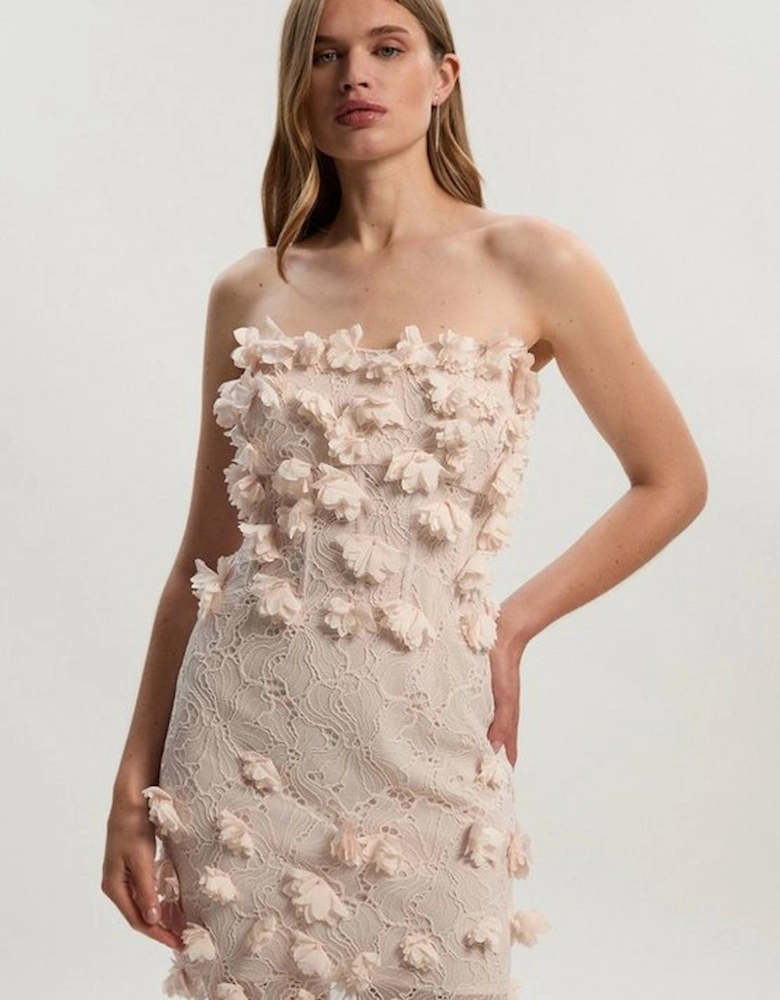 Applique Lace Corset Woven Mini Dress