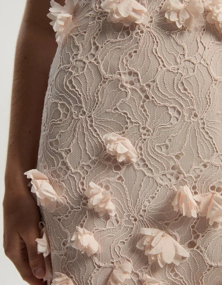 Applique Lace Corset Woven Mini Dress