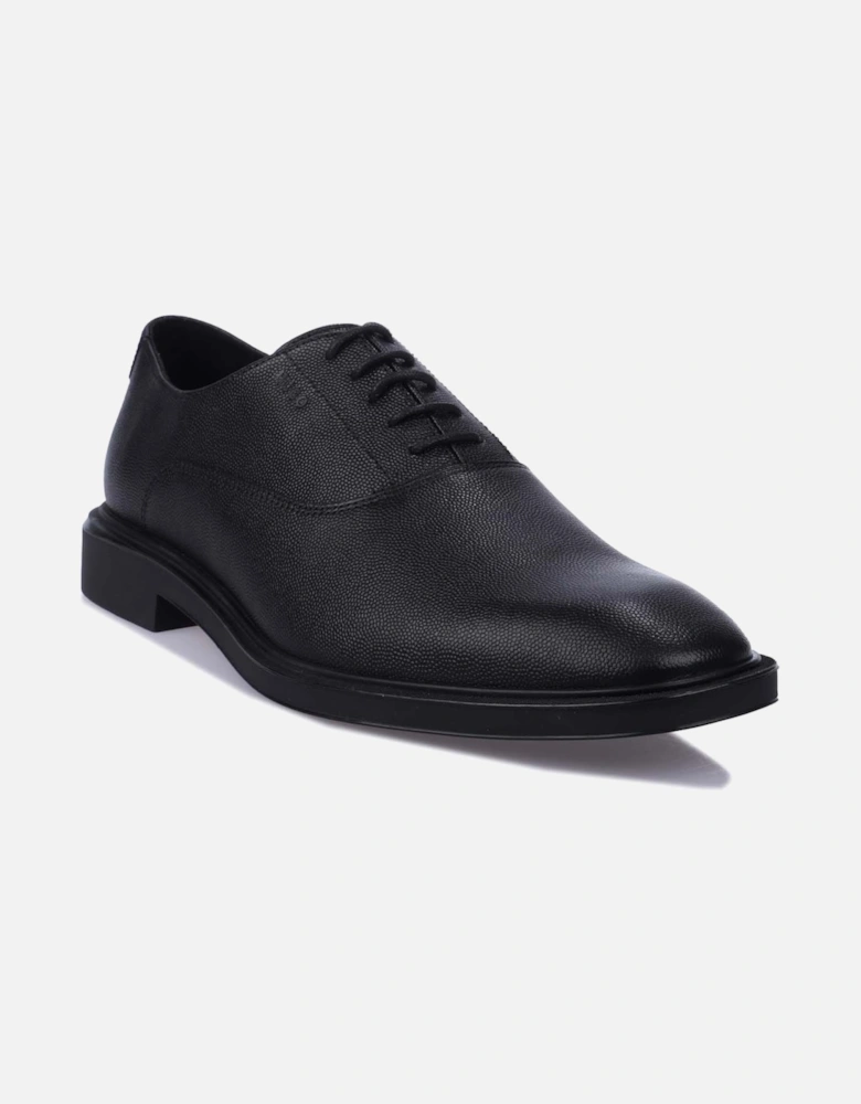 Gryff Derby Shoes