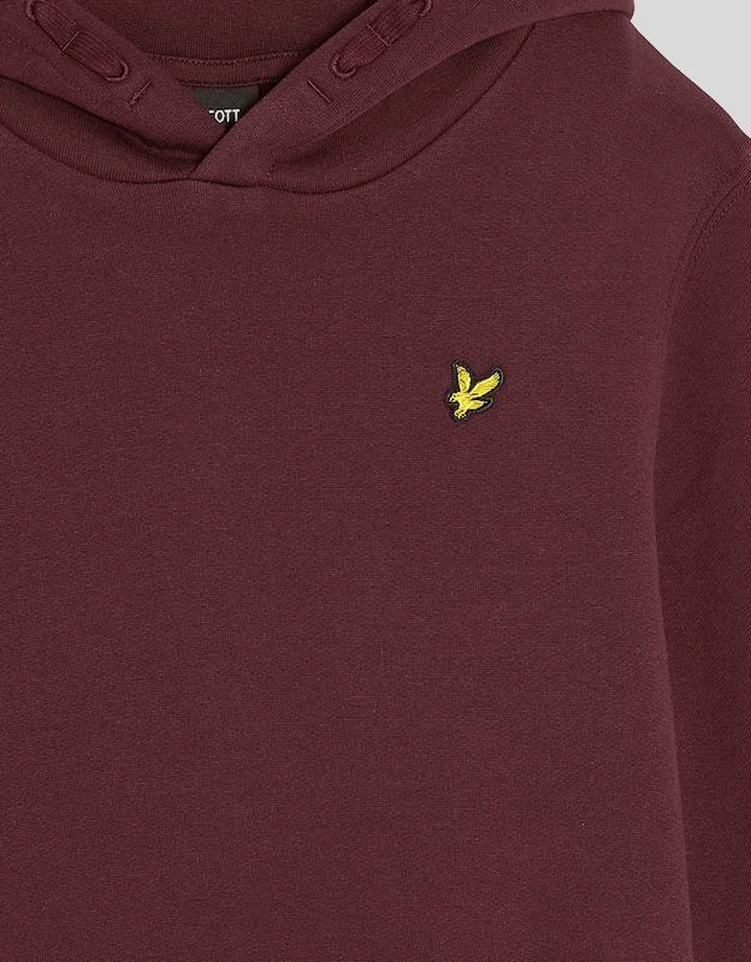 Brush Back Hoodie