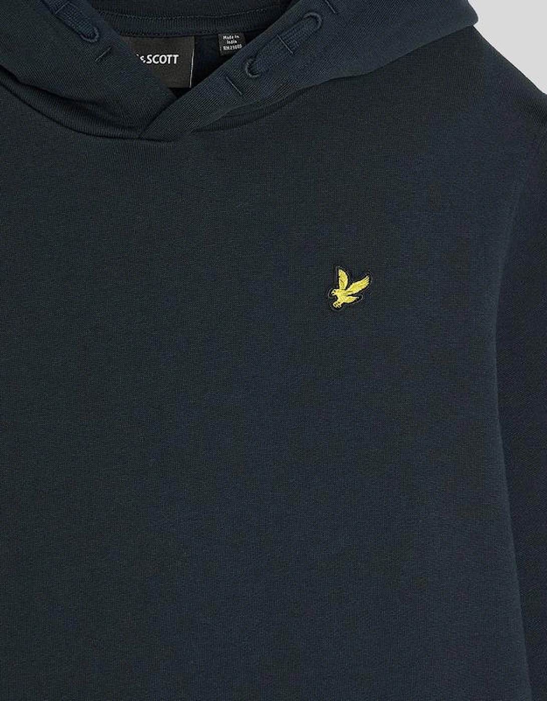 Brush Back Hoodie