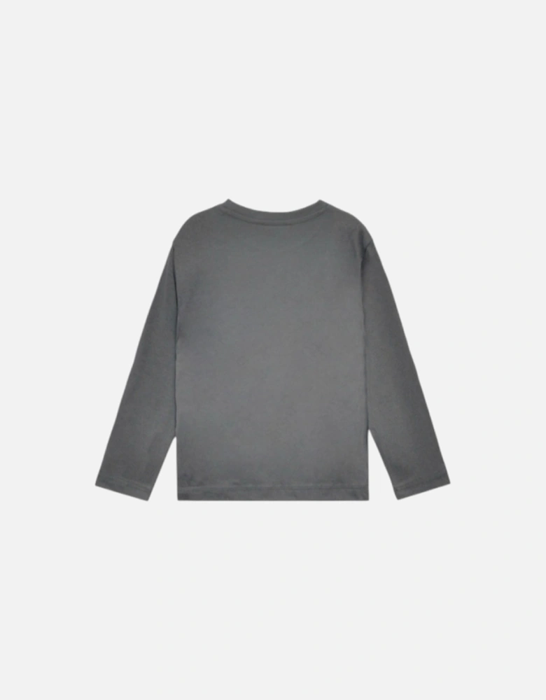 Boys Grey Logo Top