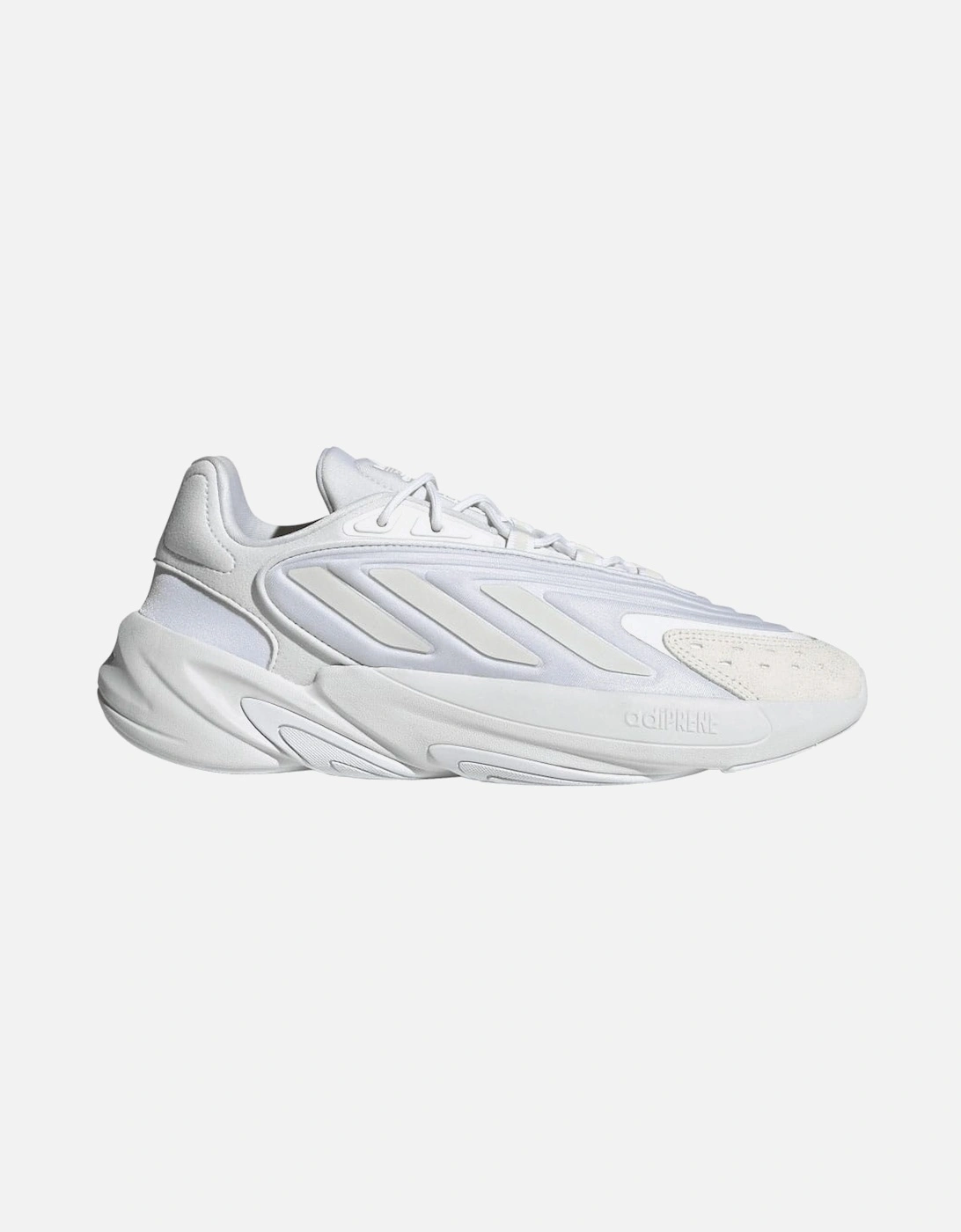 Ozelia Trainers, 7 of 6