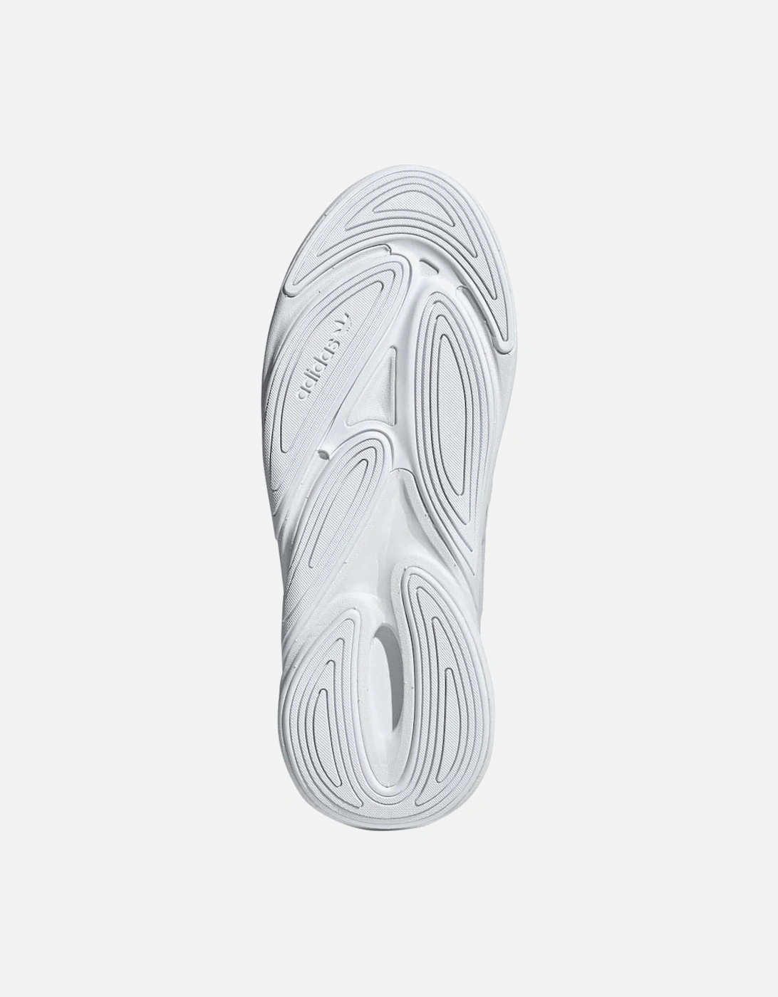 Ozelia Trainers