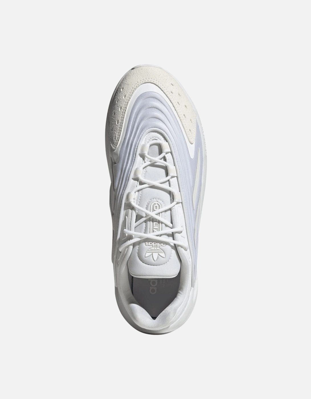 Ozelia Trainers