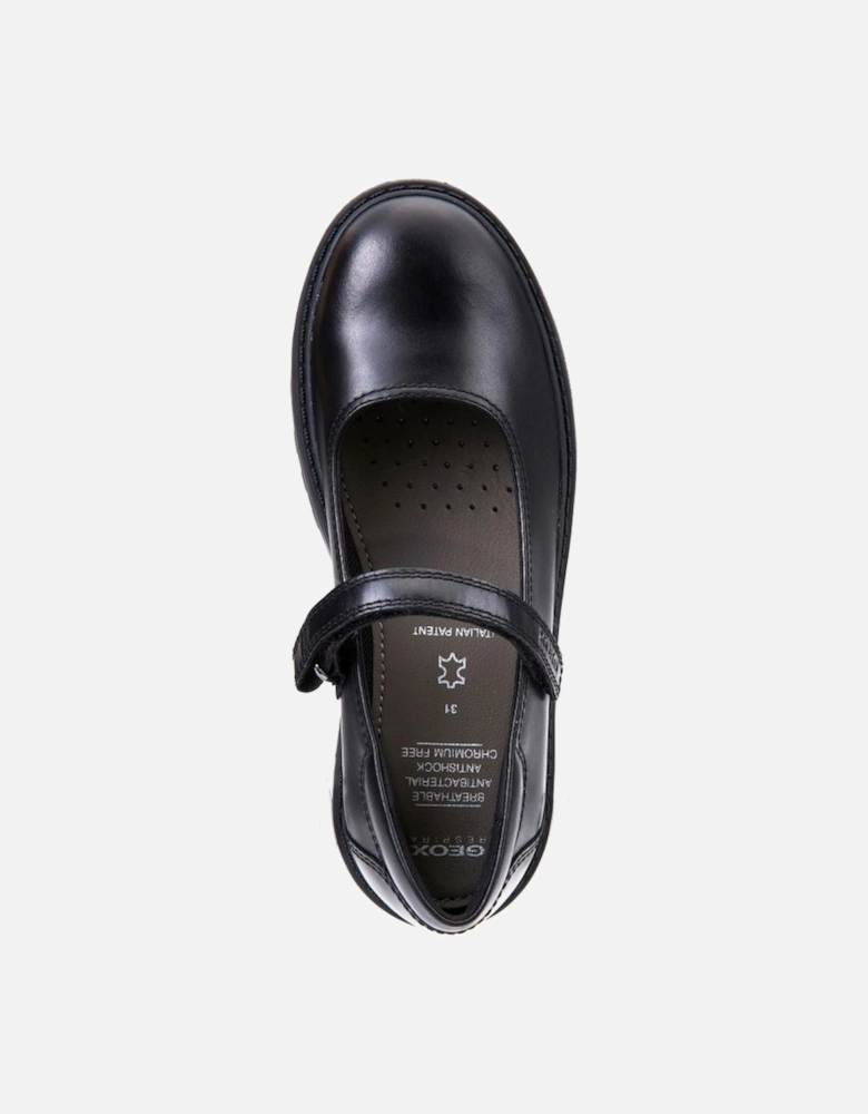 J Casey P Girls School Shoes