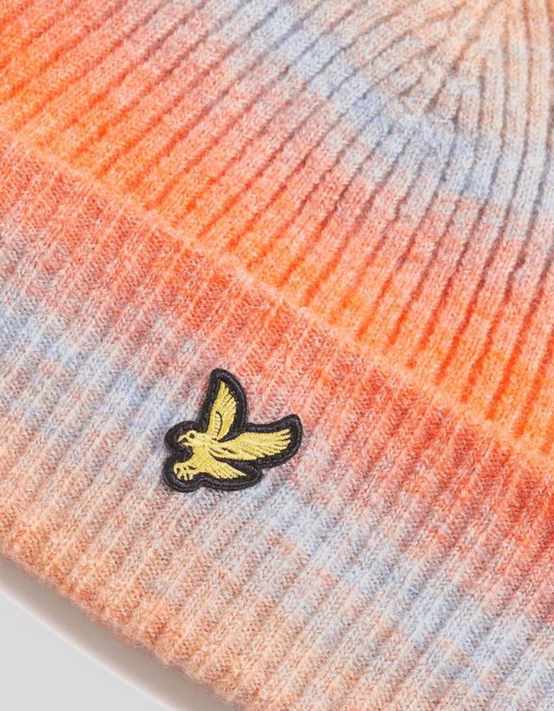 Ombre Beanie