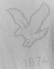 Thumbnail 6 of 6