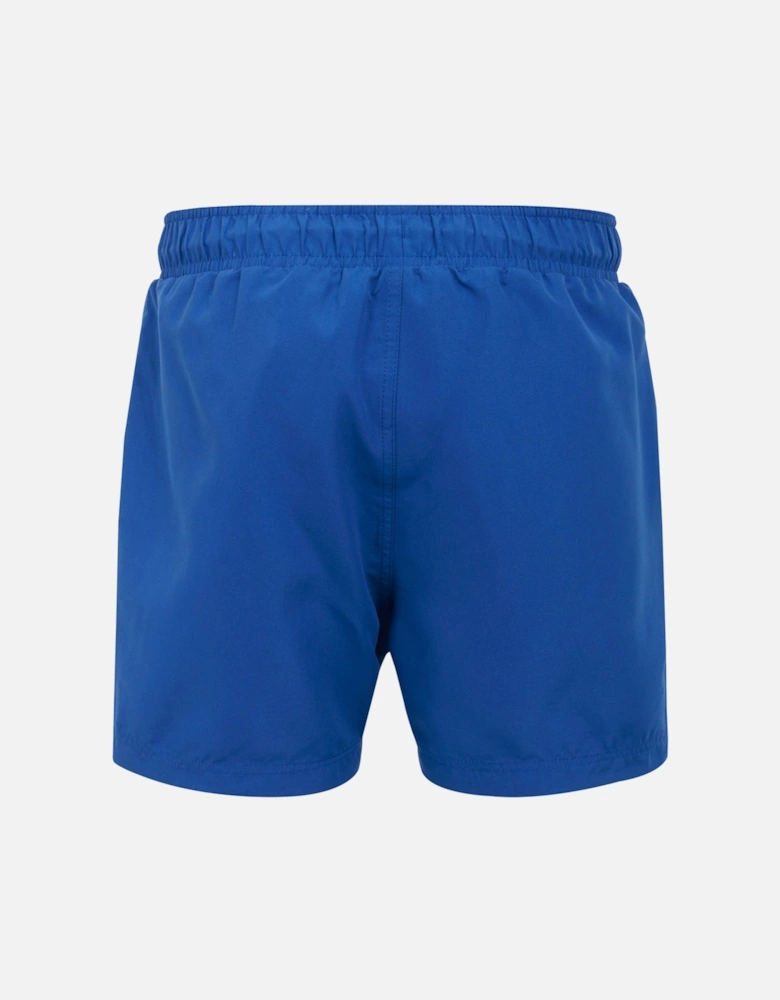 Mens Mawson III Quick Drying Swimming Shorts