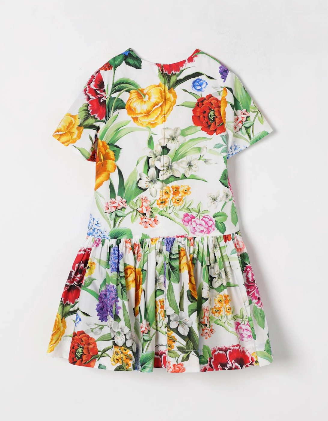 Floral Print ALine Dress