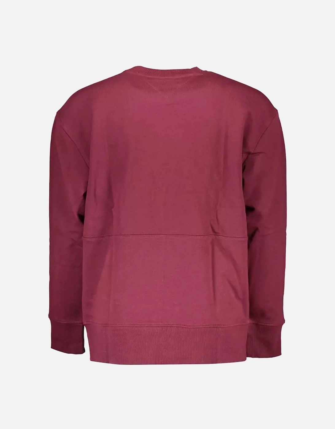 Crew Neck Sweatshirt DW0DW07334
