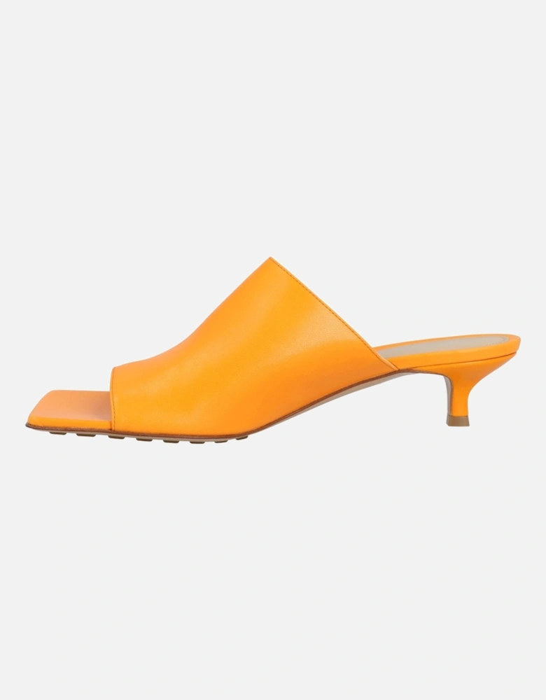 Kitten Heel Mules Square Toe