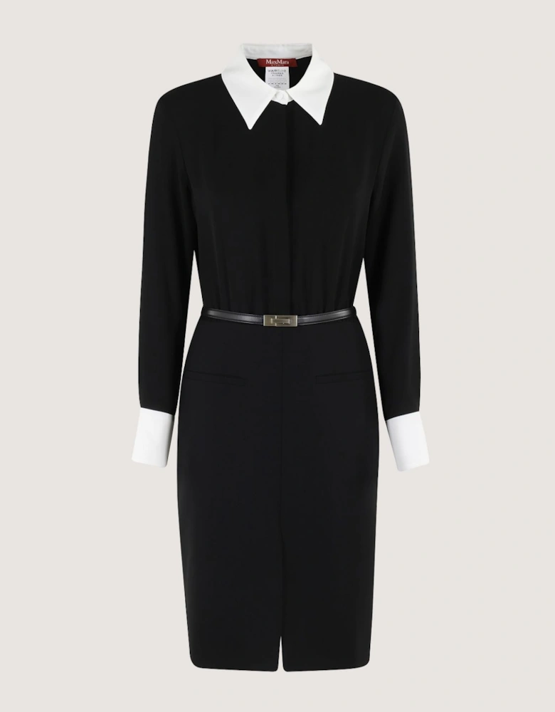 Shift Dress Contrast Collar