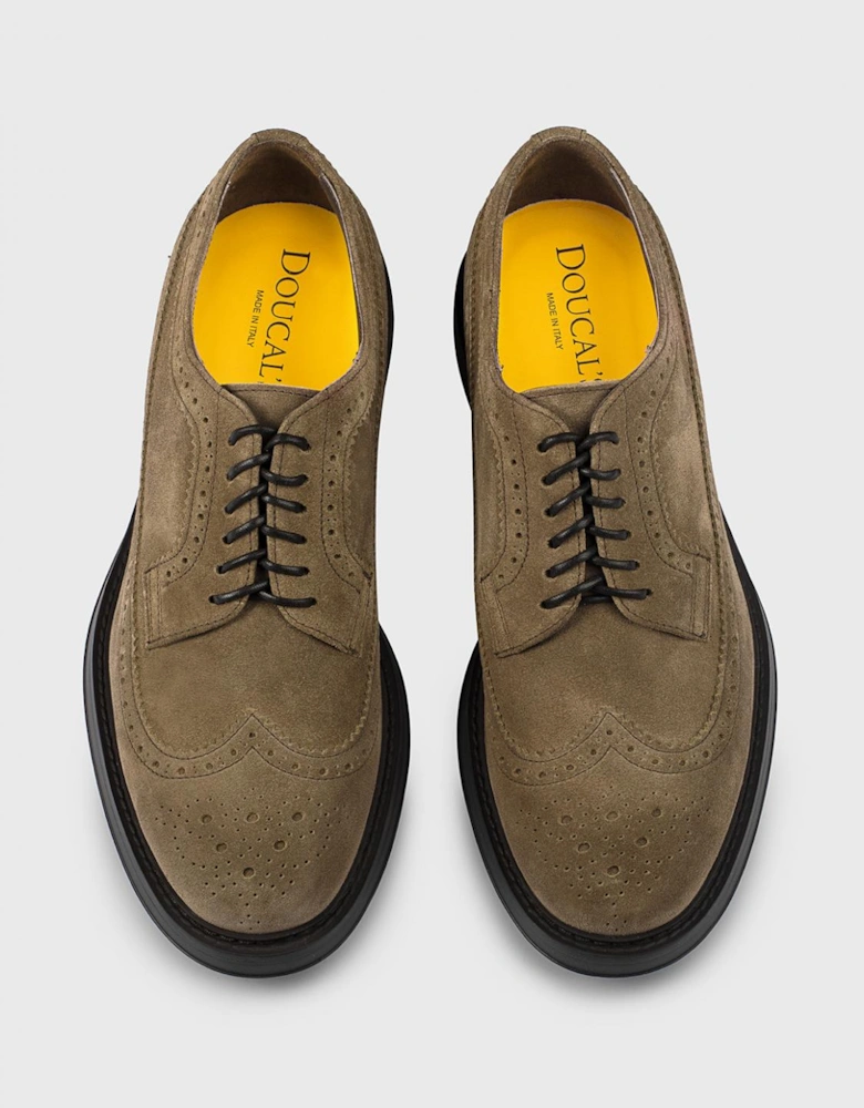 Classic Brogue Oxford Suede Leather