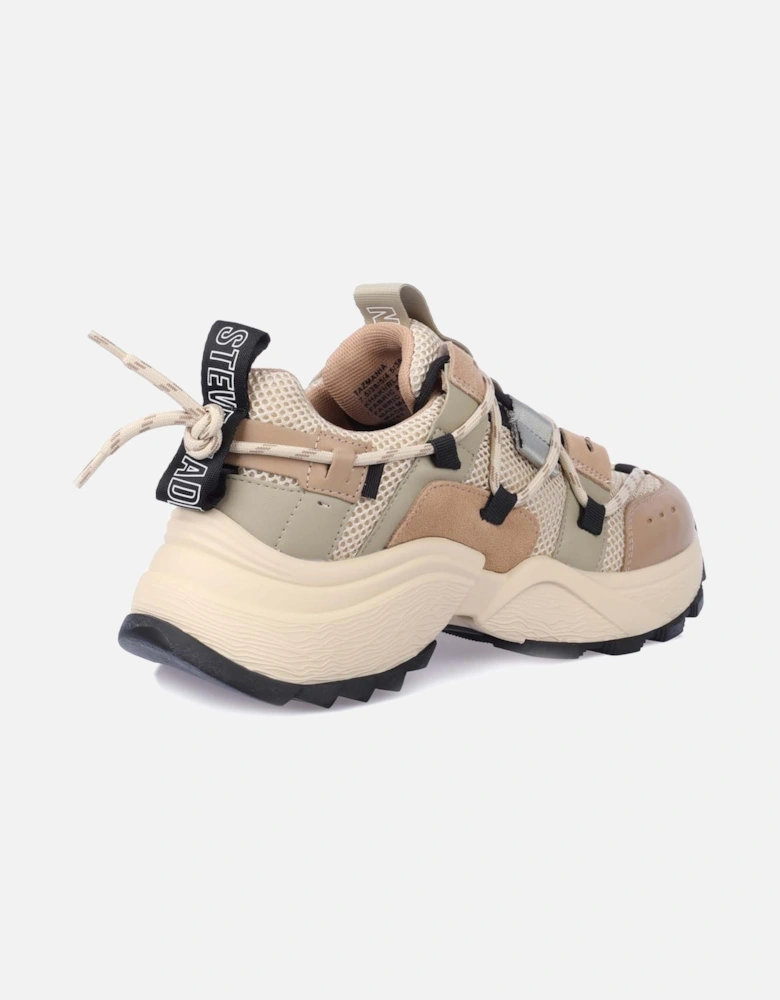 Tazmania Trainers