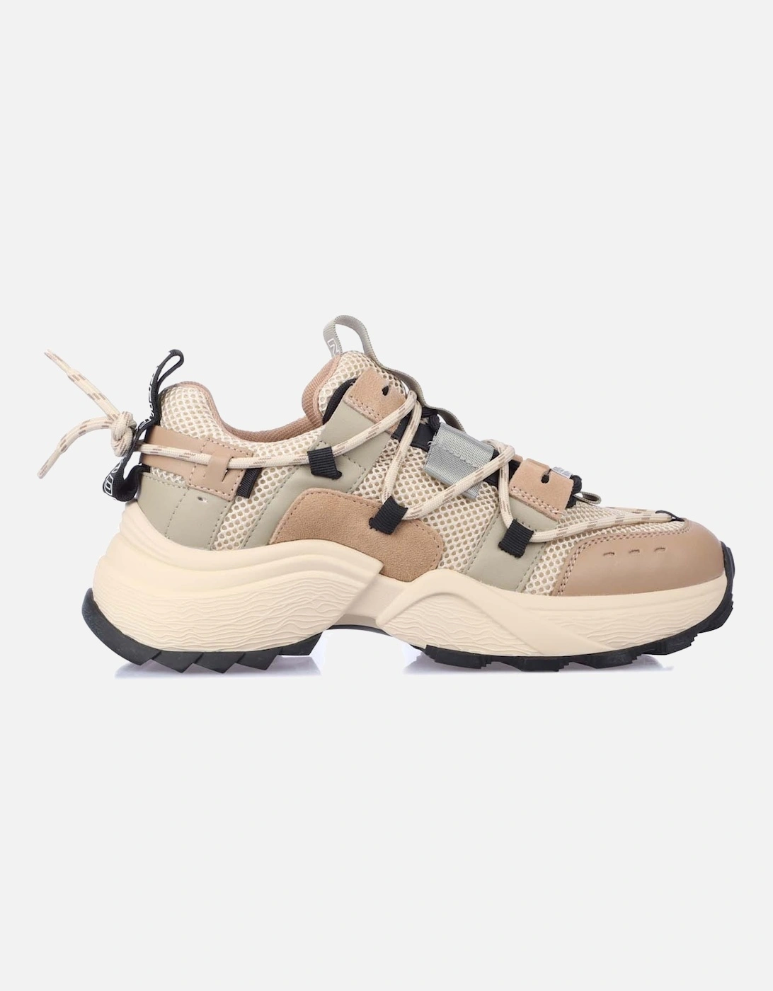 Tazmania Trainers, 7 of 6