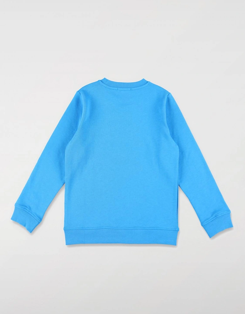 Kids Bird Graphic Pullover Sweater