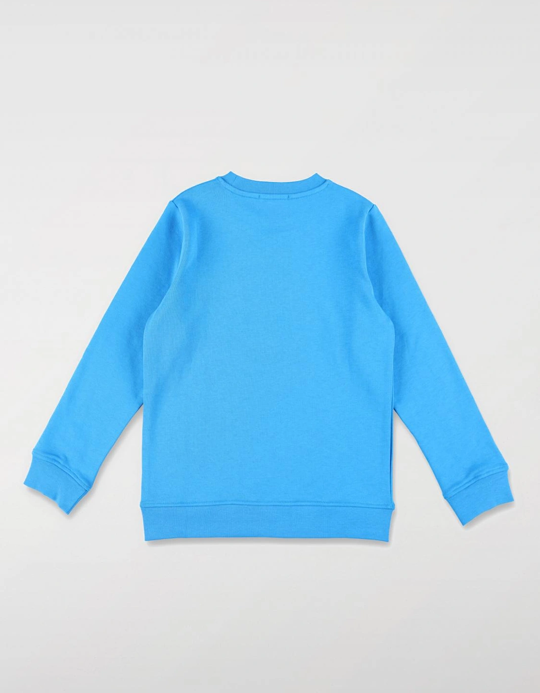Kids Bird Graphic Pullover Sweater