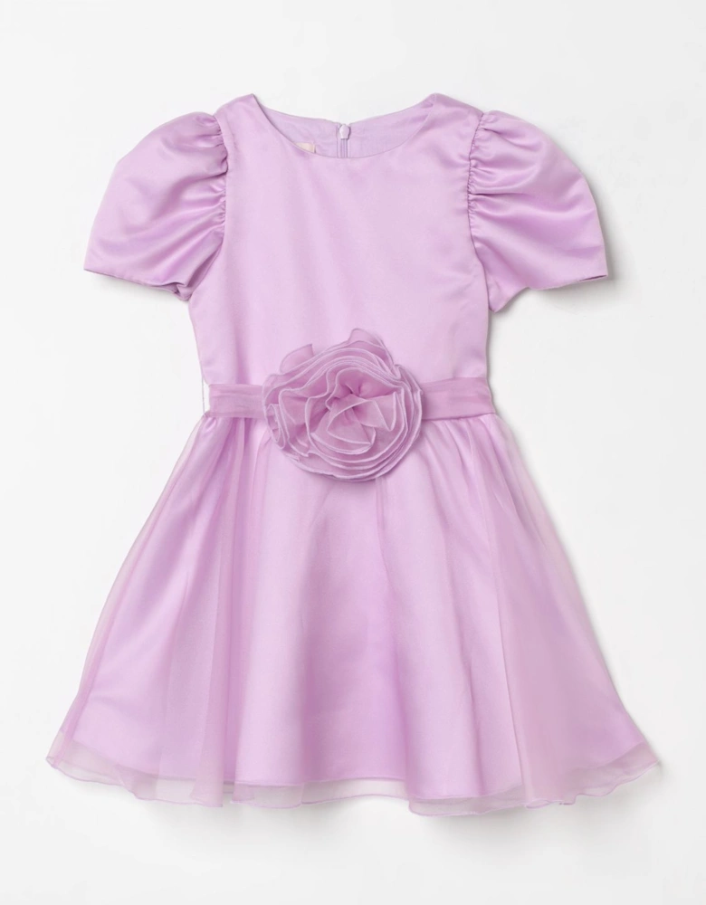 Girls Butterfly Organza Dress