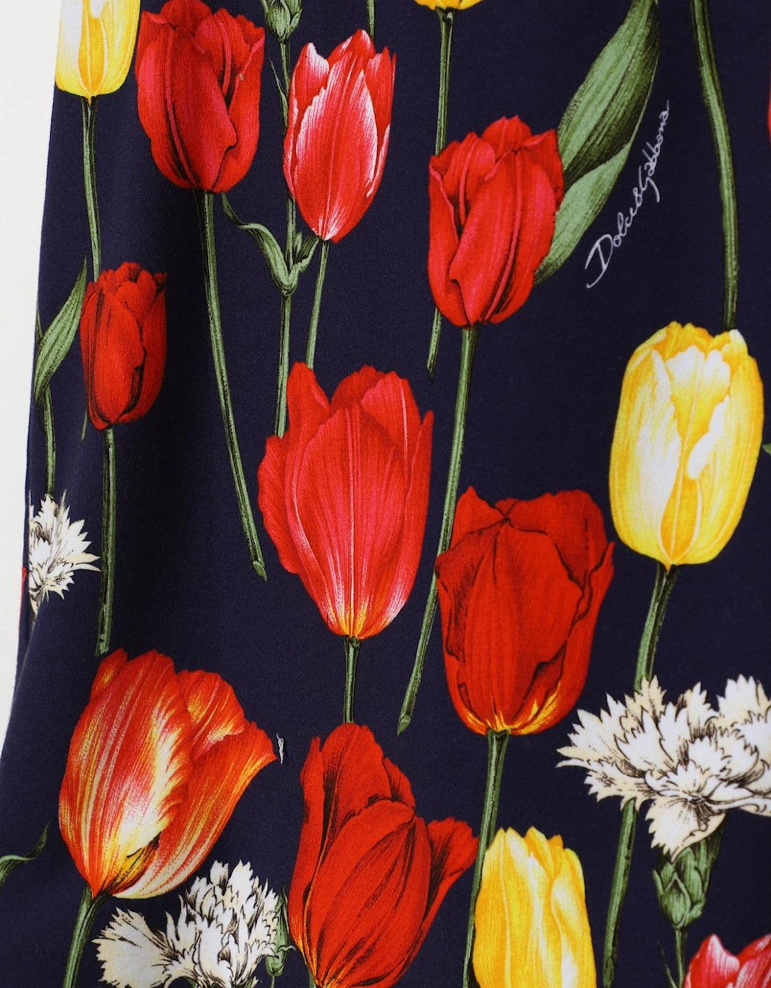 Tulip Print ALine Dress