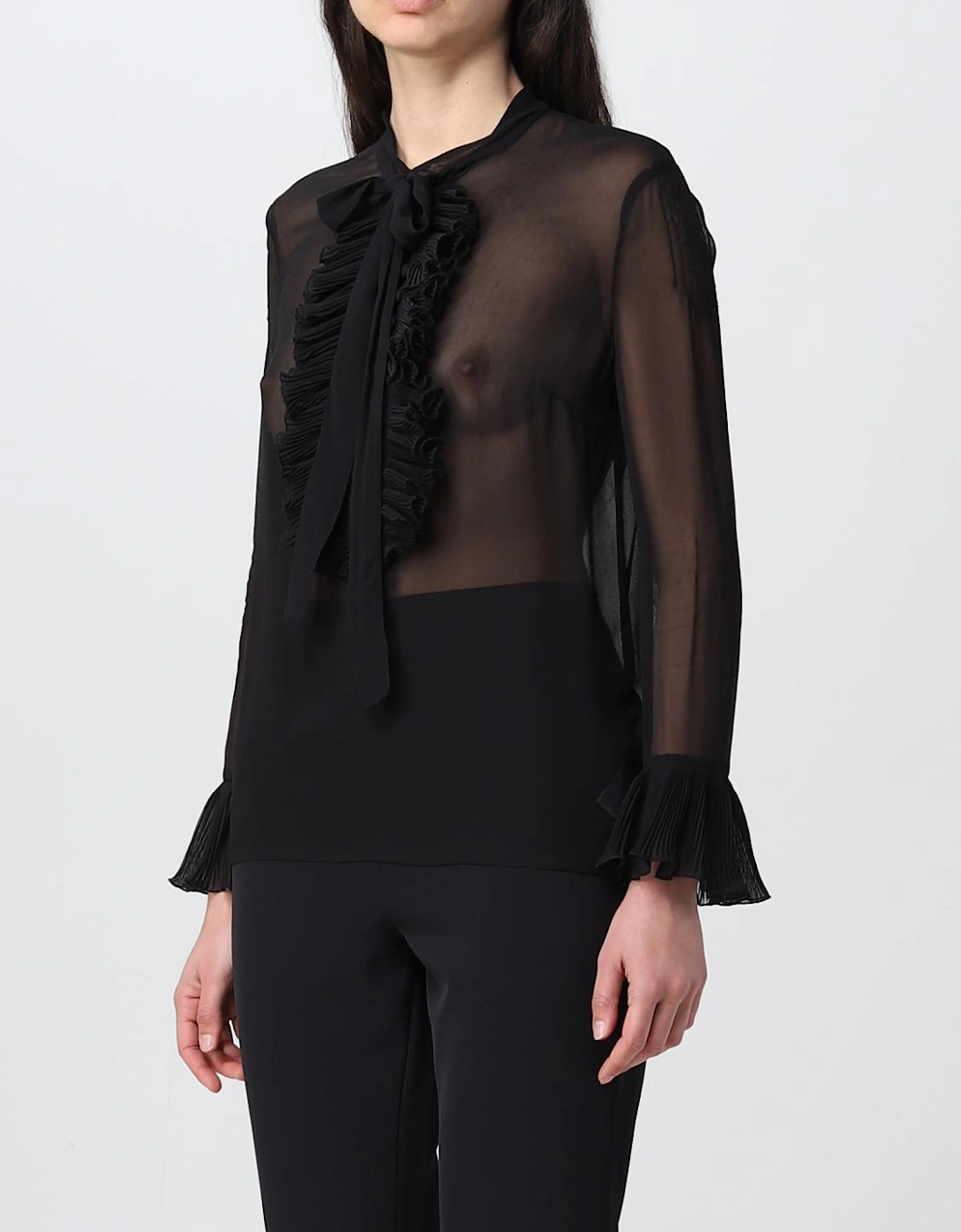 Sheer Pleated Blouse