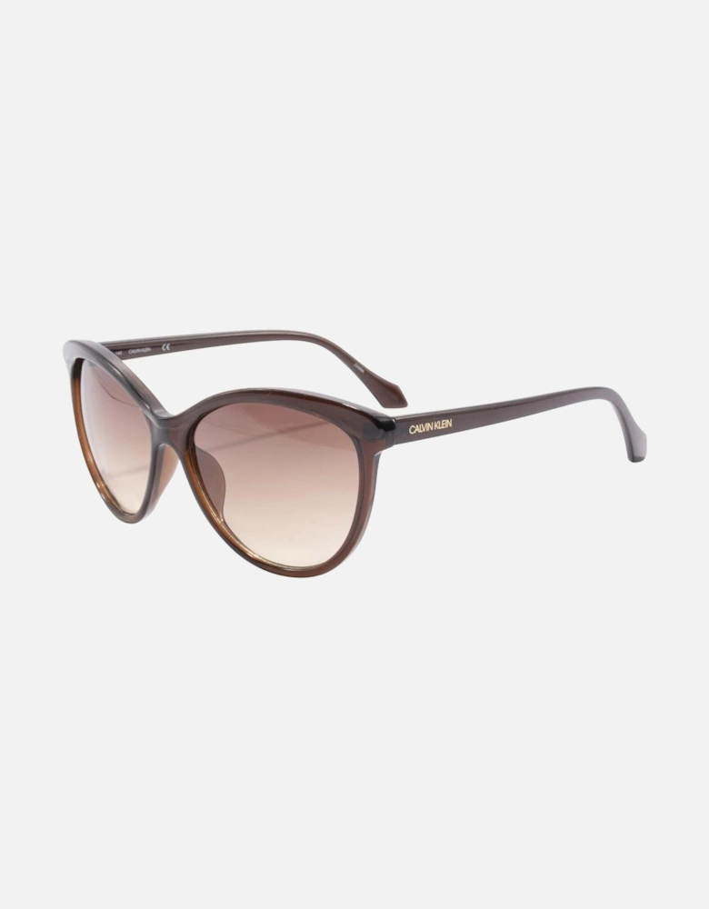 Crystal Brown Sunglasses by CK Collection