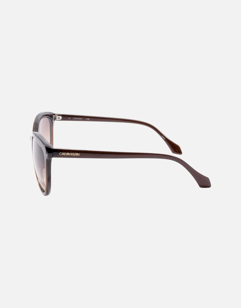 Crystal Brown Sunglasses by CK Collection