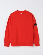 Thumbnail 2 of 12