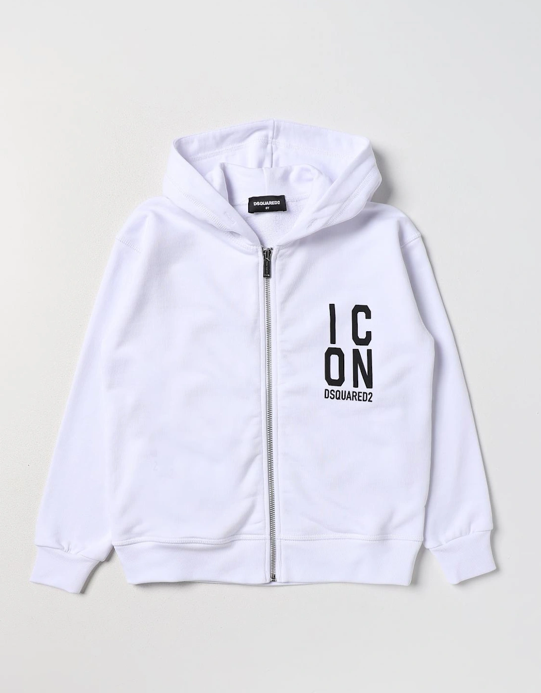 ICON ZipUp Hoodie, 3 of 2