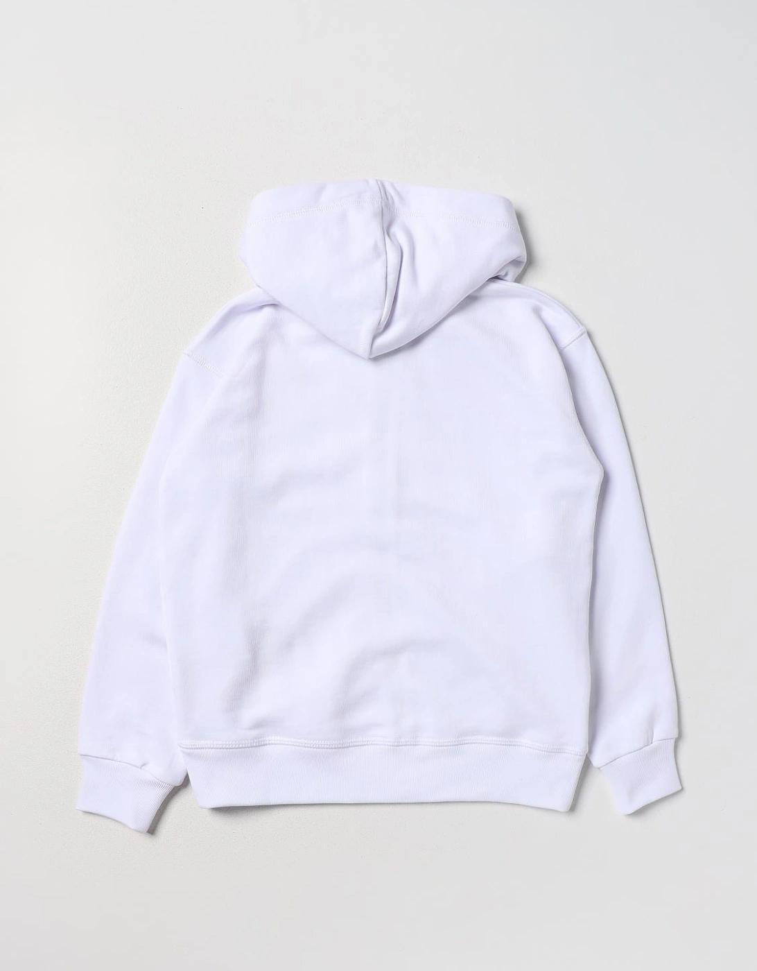 ICON ZipUp Hoodie