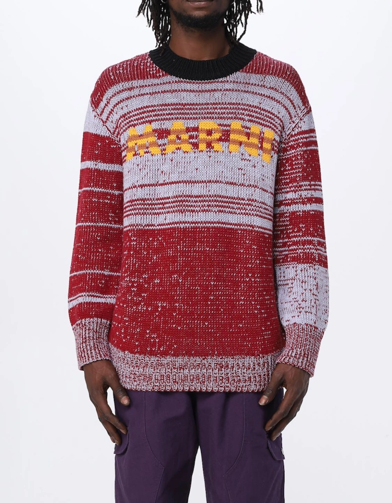 Knit Pullover Sweater