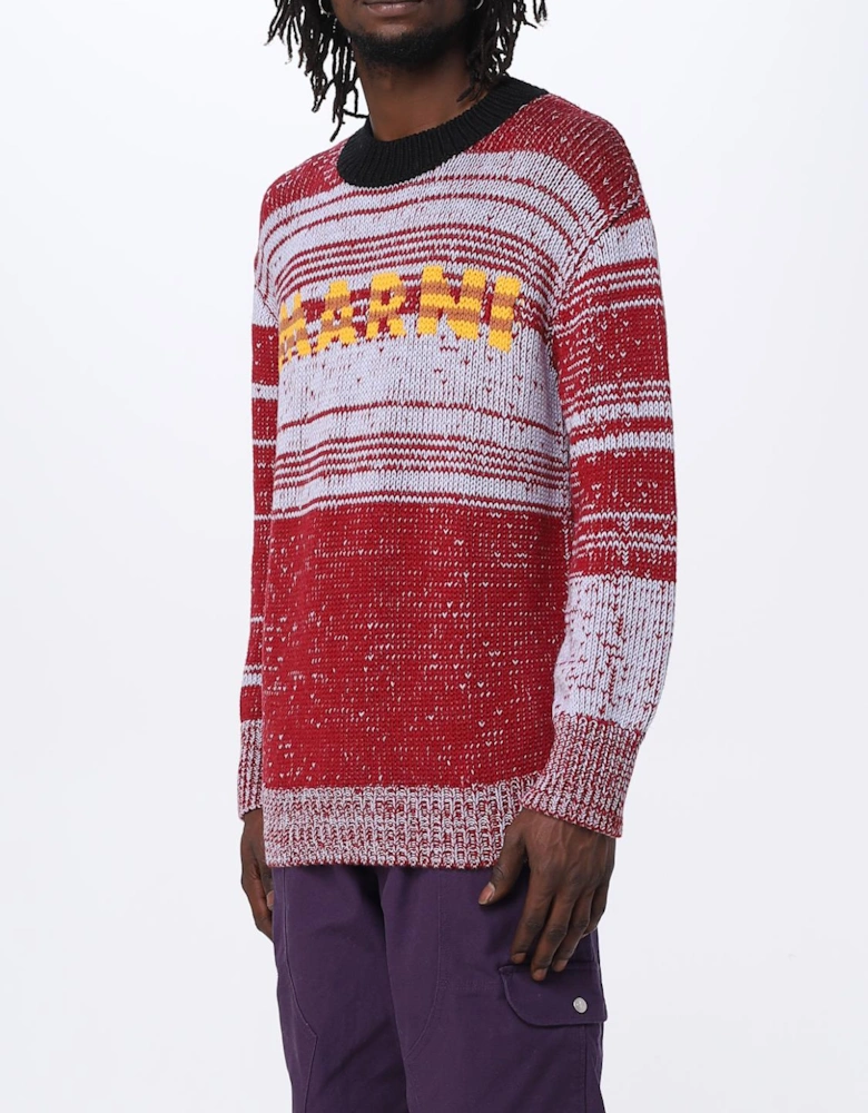 Knit Pullover Sweater
